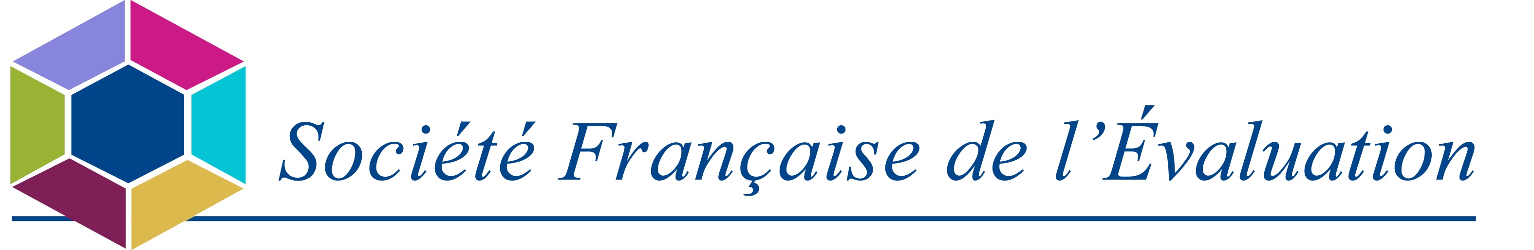 SFE - Société Française de l'Evaluation